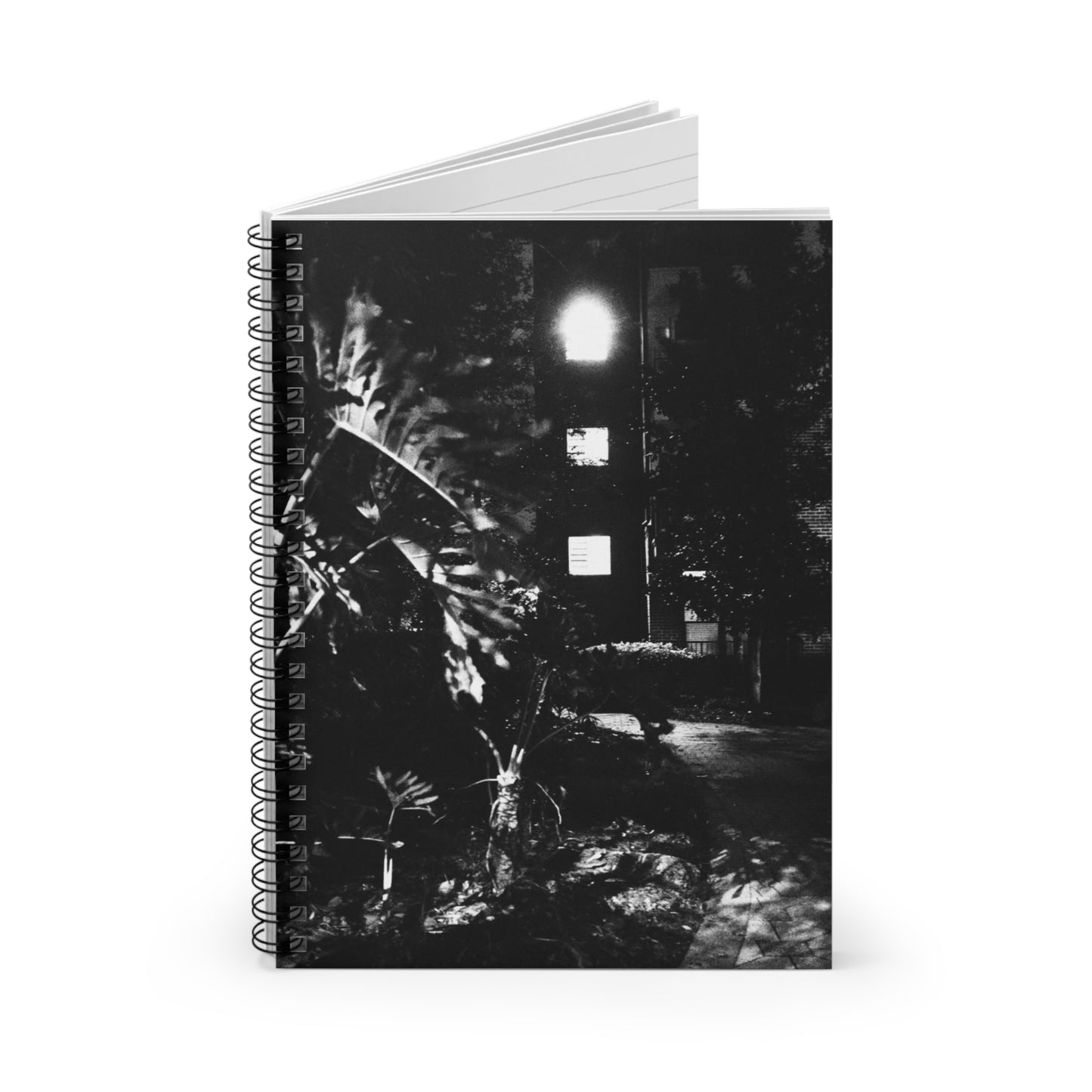 The Dark Night Spiral Notebook - 3