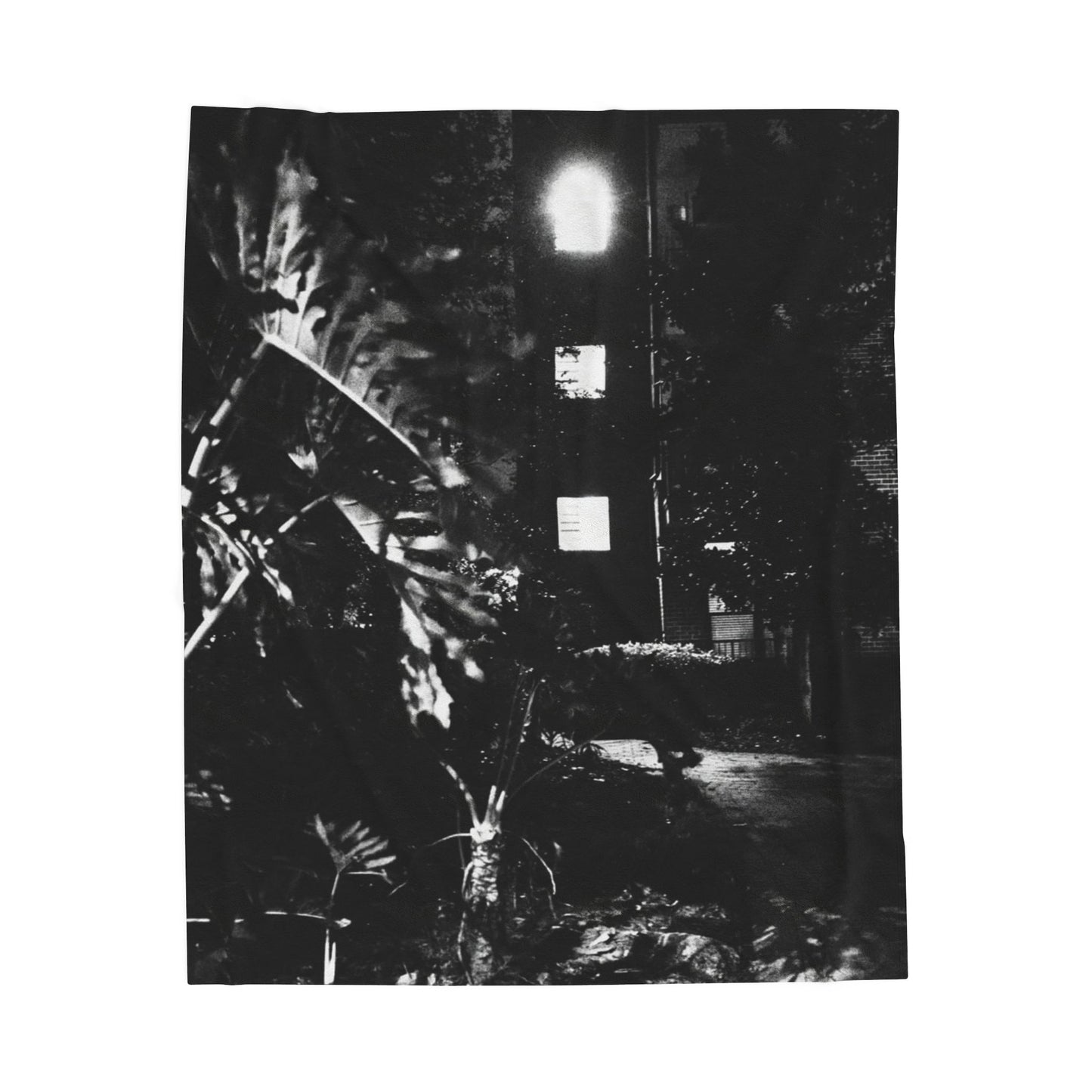 The Dark Night No. 3 Velveteen Blanket