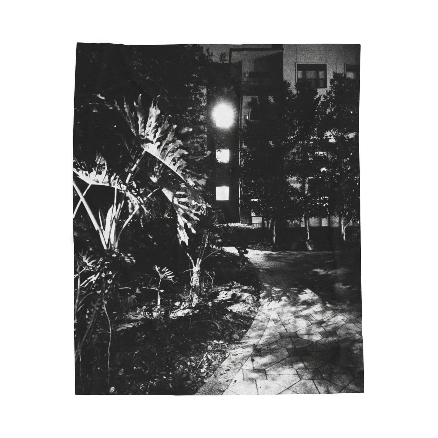 The Dark Night No. 1 Velveteen Blanket